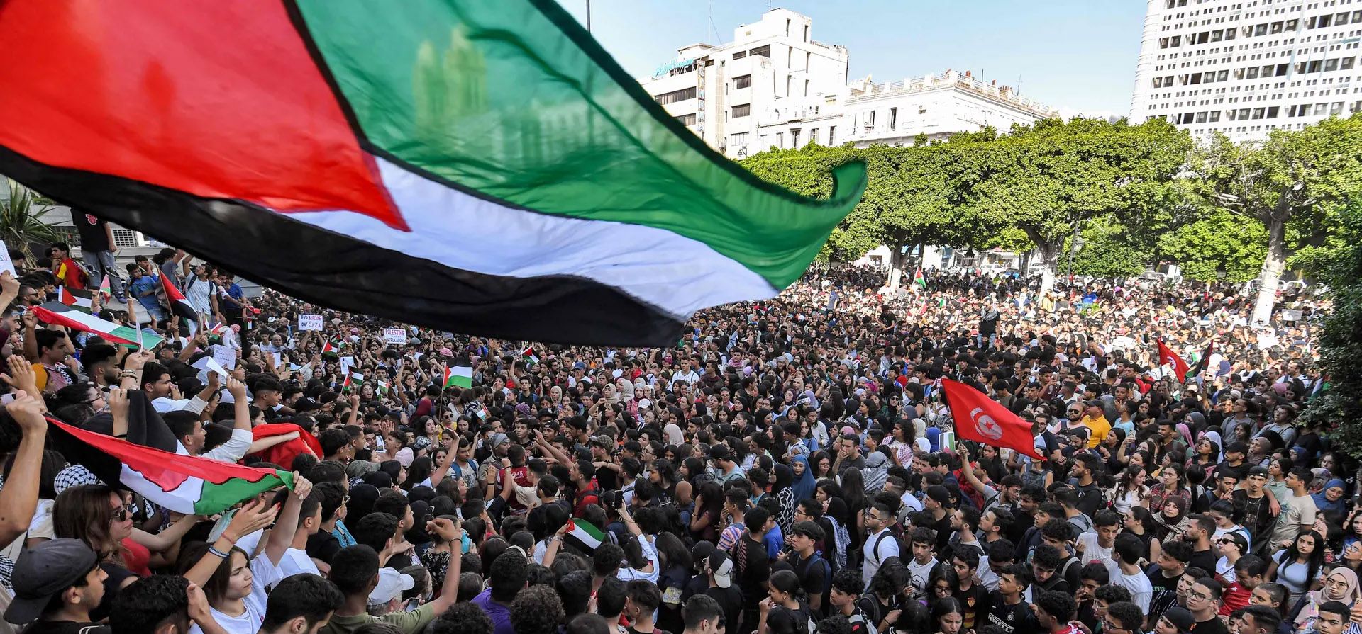 Túnez. Cientos de manifestantes que ondean banderas palestinas se reúnen frente a la embajada francesa tras el ataque aéreo contra el hospital árabe al-Ahli. Fotografía: Fethi Belaid/AFP/Getty Images Túnez. Cientos de manifestantes que ondean banderas palestinas se reúnen frente a la embajada francesa tras el ataque aéreo contra el hospital árabe al-Ahli. Fotografía: Fethi Belaid/AFP/Getty Images