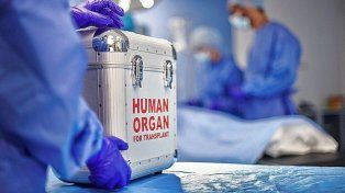 Se conmemora hoy el Día Mundial del Trasplante de Órganos. La donación no se limita a órganos post mortem, también puede realizarse en vida.