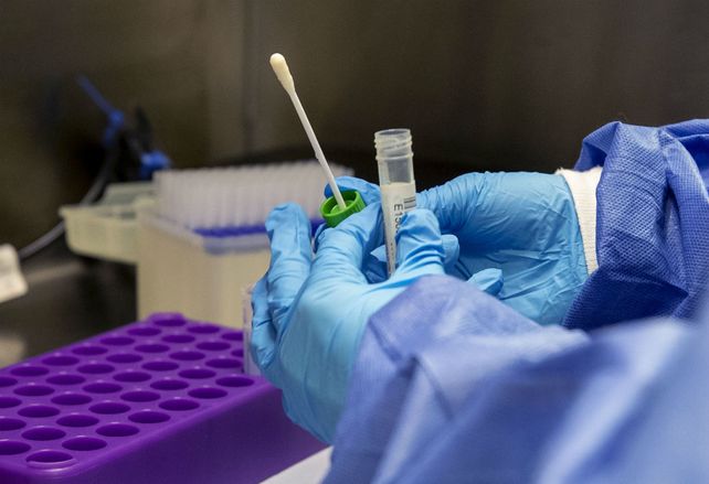 Coronavirus: Rosario notificó 1.056 casos nuevos de los 2.519 que informó Santa Fe