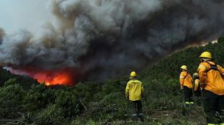 Altas temperaturas y fuertes vientos entorpecen el combate de incendios en los lagos Nahuel Huapi y Parque Nacional Lanín. Afectan 2.700 hectáreas de bosques&nbsp;