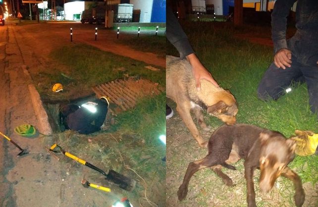 Los bomberos que participaron del rescate son Demian Guzmán