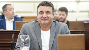 Marcelo González, diputado