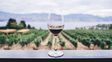 Día del Vino Argentino: su historia y las variedades que más se consumen en el país