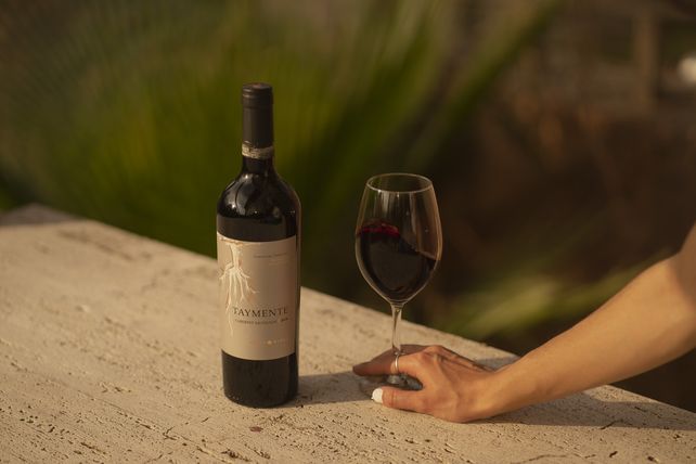 Día del Cabernet Sauvignon: los secretos de los premiados vinos argentinos