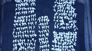 Tiros en Granadero Baigorria: un herido de bala y el hallazgo de casi 500 dosis de cocaína