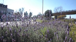 Una jornada más de verano que de primavera