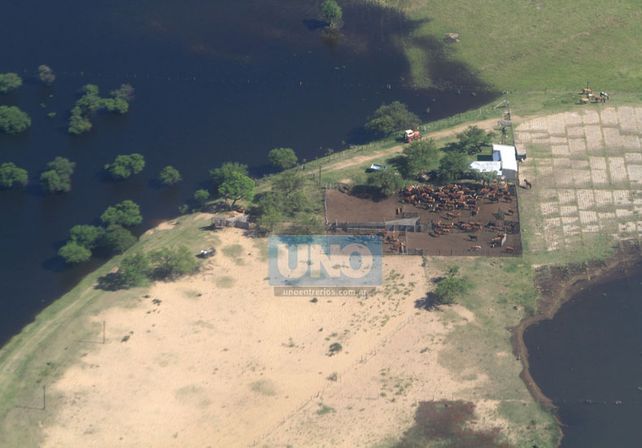 Foto: UNO/Juan Ignacio Pereira