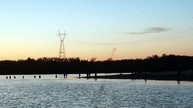 Una hilera de pescadores