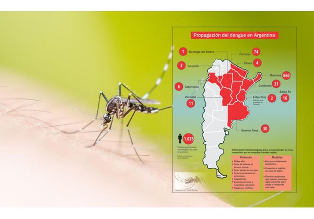 Confirmaron que hay epidemia de dengue y dejaron de contar los casos