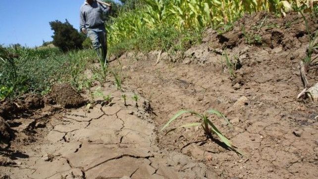 Lluvia, la gran ausente de la primera quincena de febrero