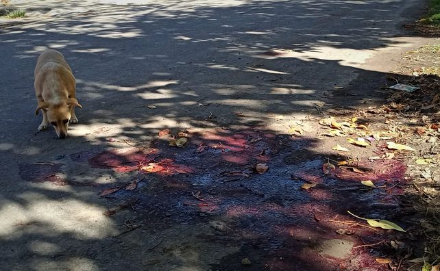 El lugar en el que fue asesinado Ezequiel Bahl