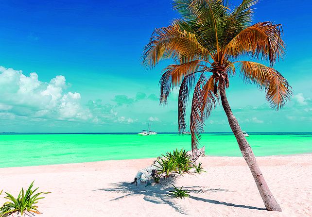 La Riviera Maya está ubicada en la costa del mar Caribe, en el estado de Quintana Roo.