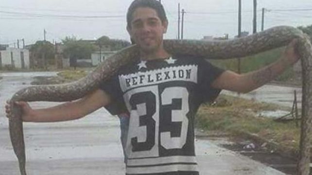 El temporal en Santiago del  Estero arrastró una enorme boa constrictora y un vecino la mató