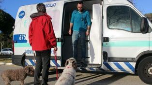 Quieren una ambulancia veterinaria municipal