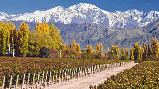 Identidad. Mendoza atrae a los viajeros por muchas razones. Su infraestructura hotelera es de las más completas.
