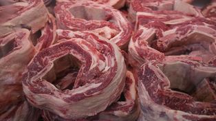 Siguen suspendidas las exportaciones de los cortes de carne más consumidos por los argentinos.