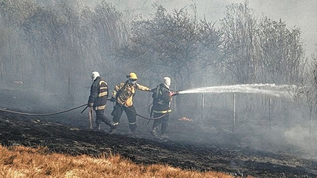 Fuego en el delta del Paraná