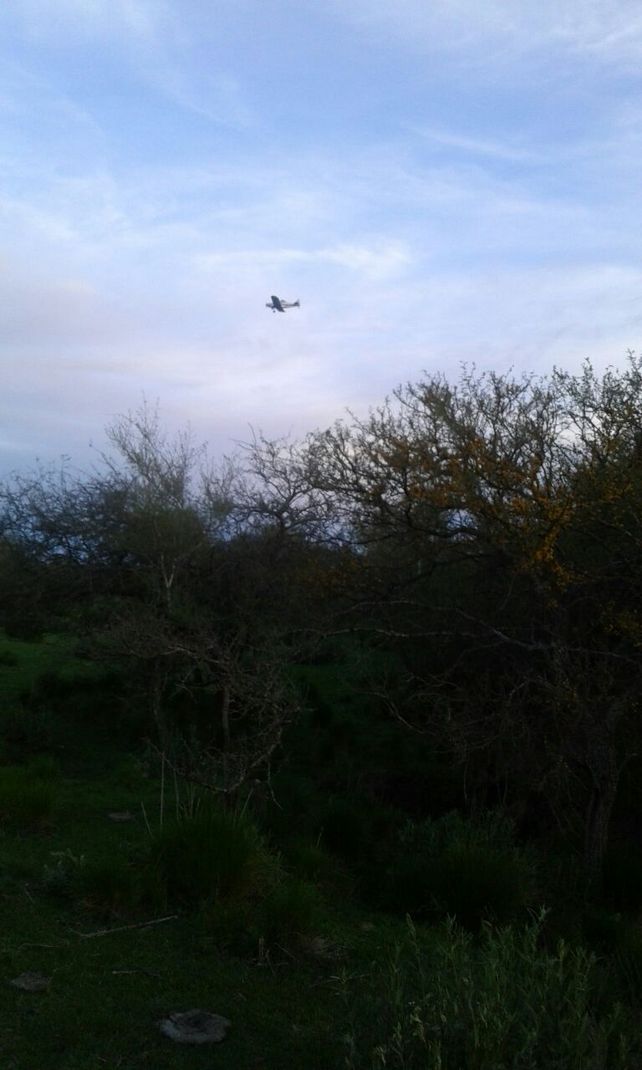 La avioneta en La Picada este miércoles.&nbsp;