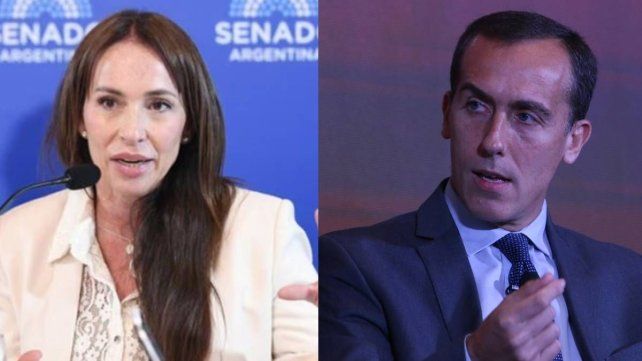 Retiraron la postulación de María Verónica Michelli