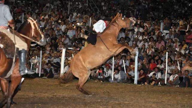 Gualeguaychú: el Concejo Deliberante prohibió las jineteadas y hubo incidentes