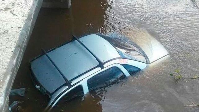 Intentó esquivar un carpincho y cayó al vacío desde un puente