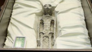 Presentaron en el Congreso de México supuestos cuerpos de seres no humanos