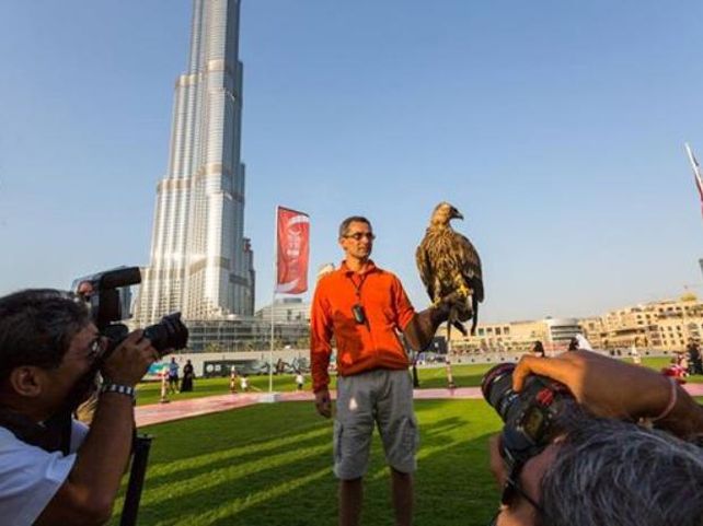 Una cámara de video captó el récord mundial de altura logrado por un águila imperial