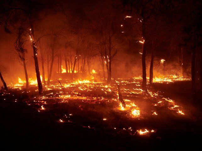 El incendio en Carcastillo