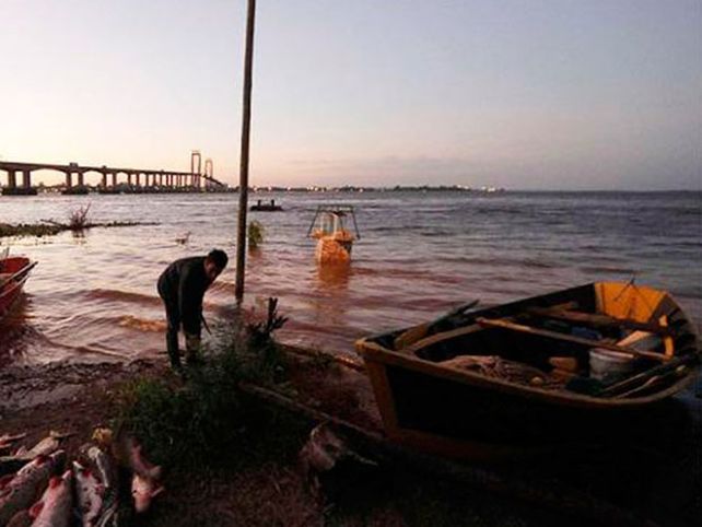 El Río Paraná avanza sobre las costas de Chaco y Corrientes provocando estragos