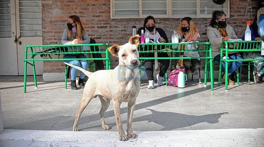 ¿Y los entrerrianos mequetrefes?