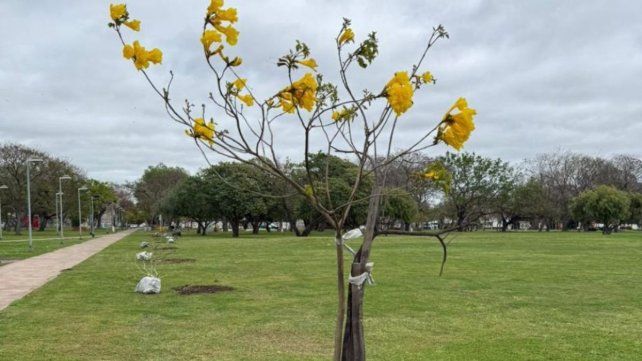 El Vivero Municipal de Santa Fe: una fábrica verde para enriquecer los espacios de la ciudad