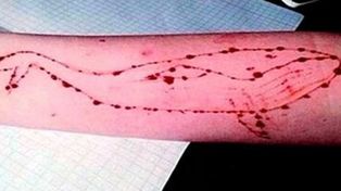 ¿Caso aislado?. El juego de la ballena azul llegó a esta parte de Paraná.