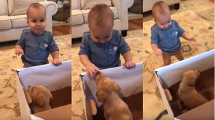 La increíble reacción de un bebé al recibir un cachorro de regalo  