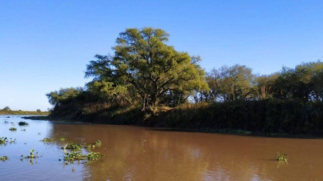 Se avanzó en la planificación de acciones de conservación de la reserva Humedales e Islas de Victoria