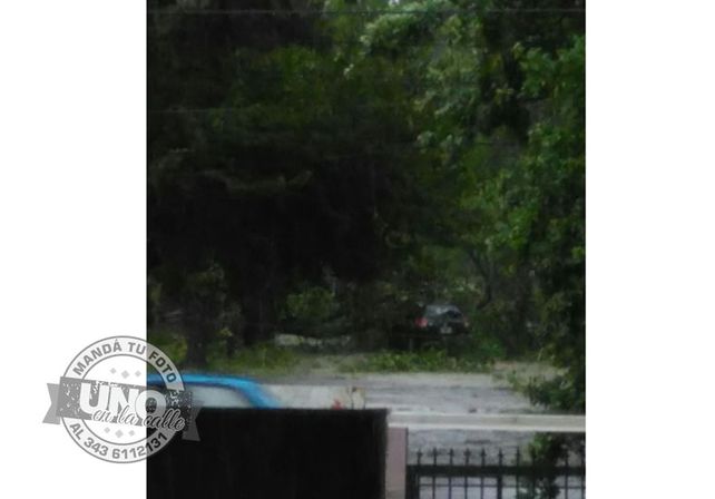 Terrible temporal de lluvia y viento generó graves destrozos en Paraná