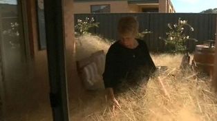 Los habitantes de un pequeño pueblo australiano viven aterrados por el pánico peludo