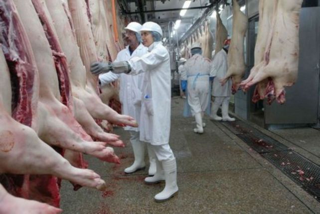Contigiani aseguró que la producción porcina nacional alcanza las 600 mil toneladas.