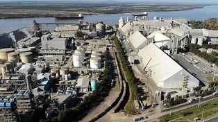 Vicentin: cerealistas anuncian plan para rescatar la empresa de la crisis