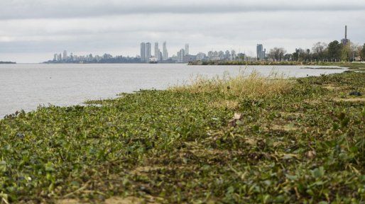Los clubes de la costa se preparan para la llegada de El Niño