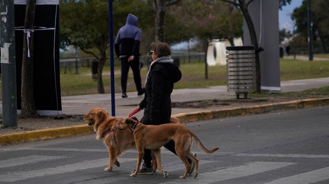 El tiempo en Rosario: un amanecer frío y neblinoso despierta un miércoles soleado