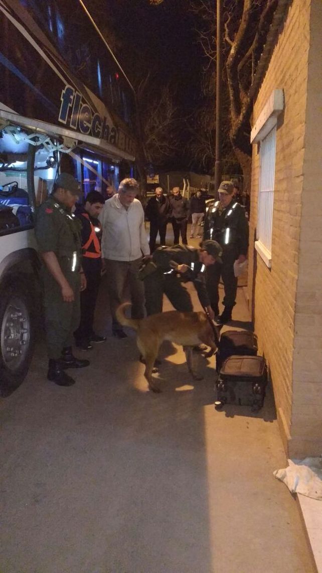 Gracias a la perra Maru, secuestran más de 15 kilos de cocaína en Rafaela