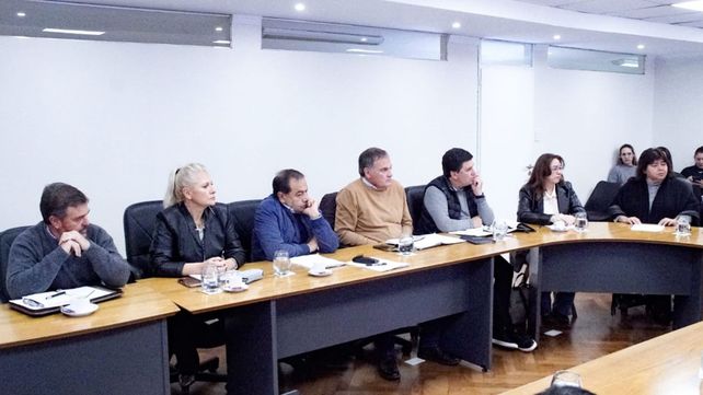 El Senado trabajó en comisión y trazó un cronograma de trabajo para el análisis del proyecto de ley de Reforma previsional. Varios sectores convocados al debate