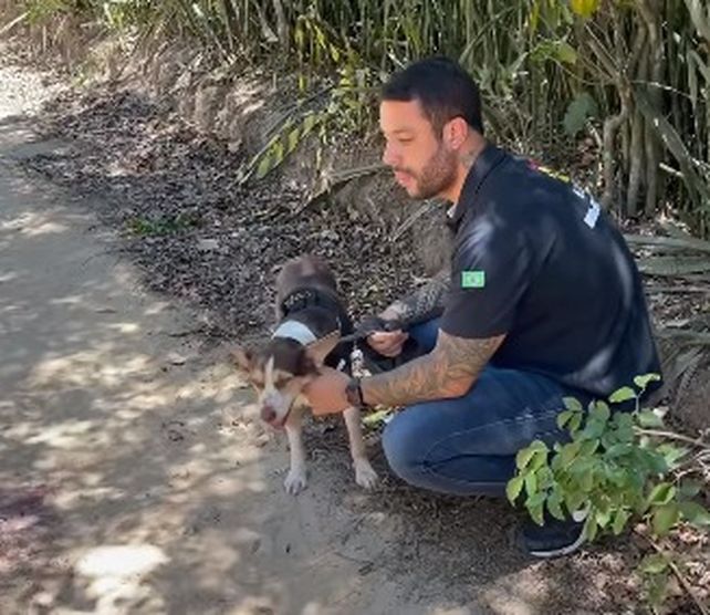 El perro de la joven argentina asesinada ayudó a la captura del sospechoso.