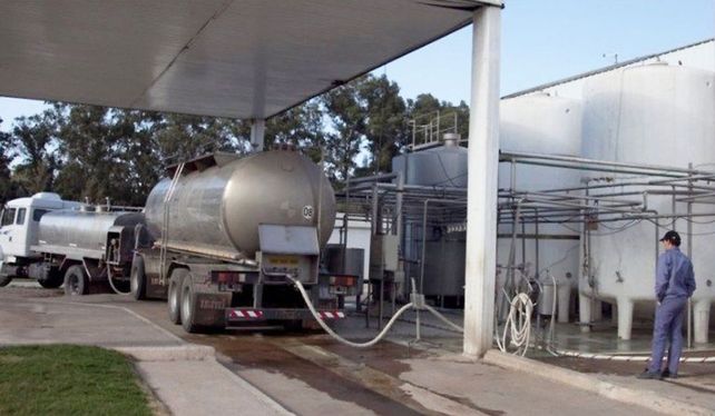 Octubre es el mes de mayor recibo en la industria láctea