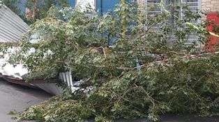 Un violento temporal se llevó el techo de 80 familias de una localidad de Santa Fe