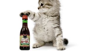 Vino para gatos, la nueva sensación en Japón