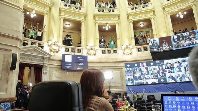 Aborto legal: ¿cómo votaron y qué dijeron los senadores santafesinos?
