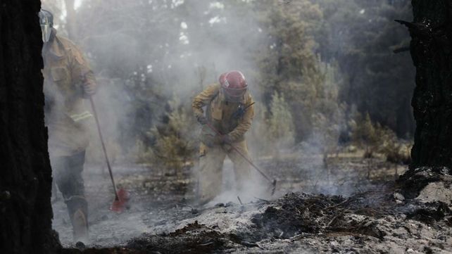 Aseguran que está controlado el voraz incendio en los bosques de Valeria del Mar
