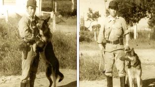 Chonino, el perro policía que es historia