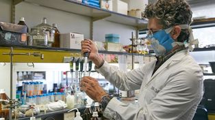 Argentina trabaja en la creación de su propia vacuna contra el coronavirus